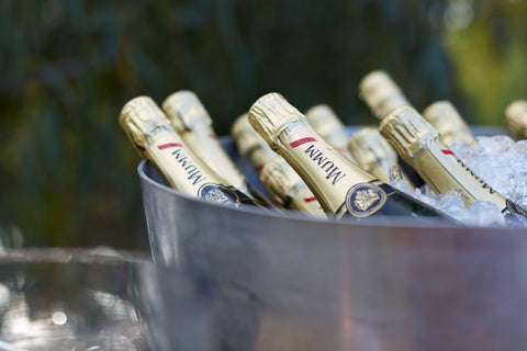 Bottles of champagne in a bucket with ice, blurred green background